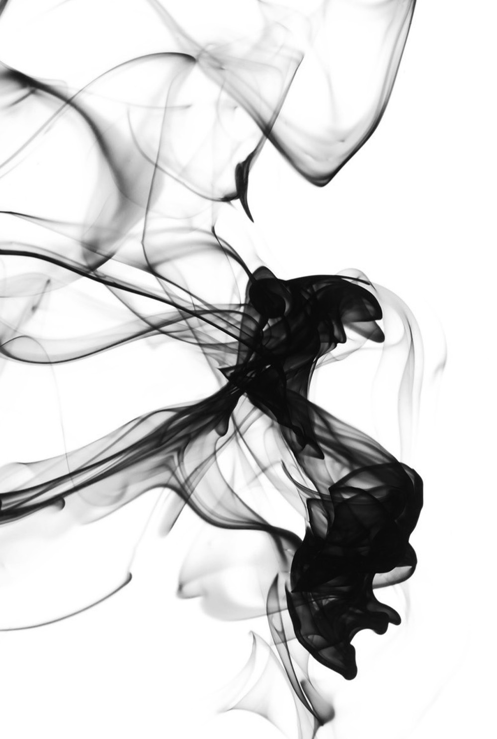 植物とアロマオイル