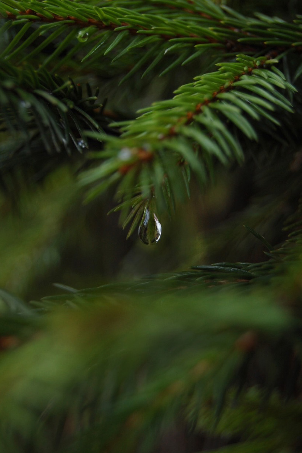 グラスとアロマの風景