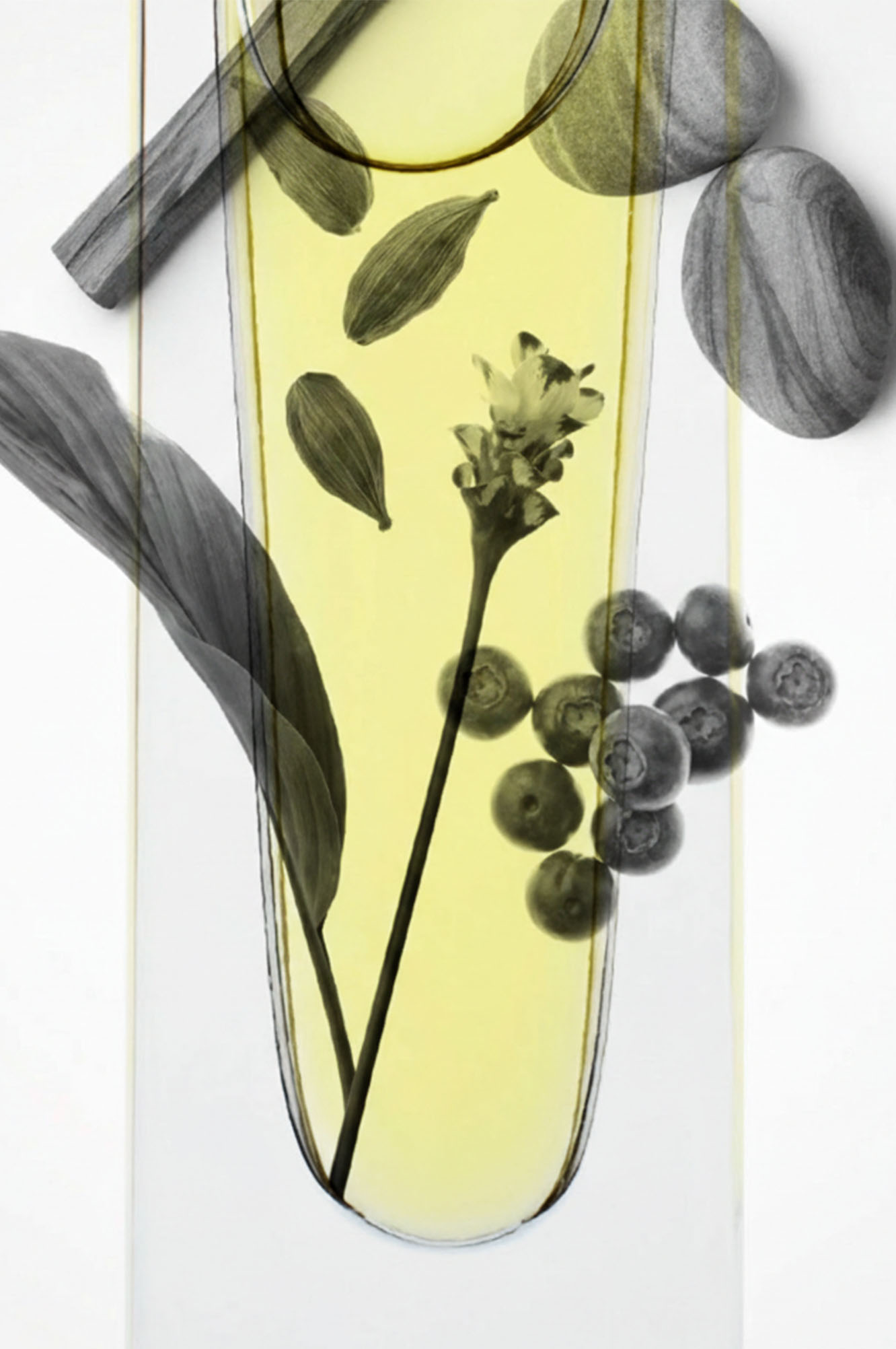 FLAGSHIP STORE SALON