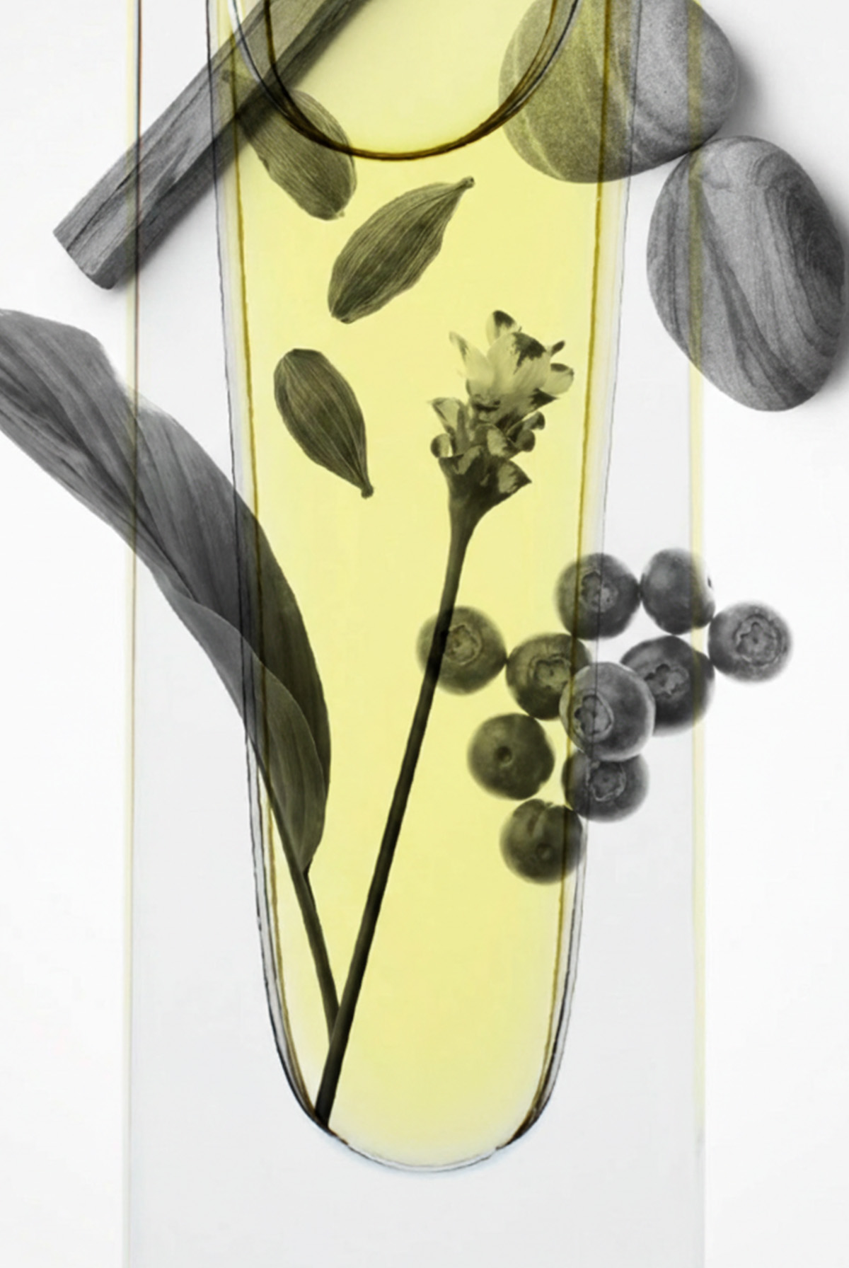 FLAGSHIP STORE SALON